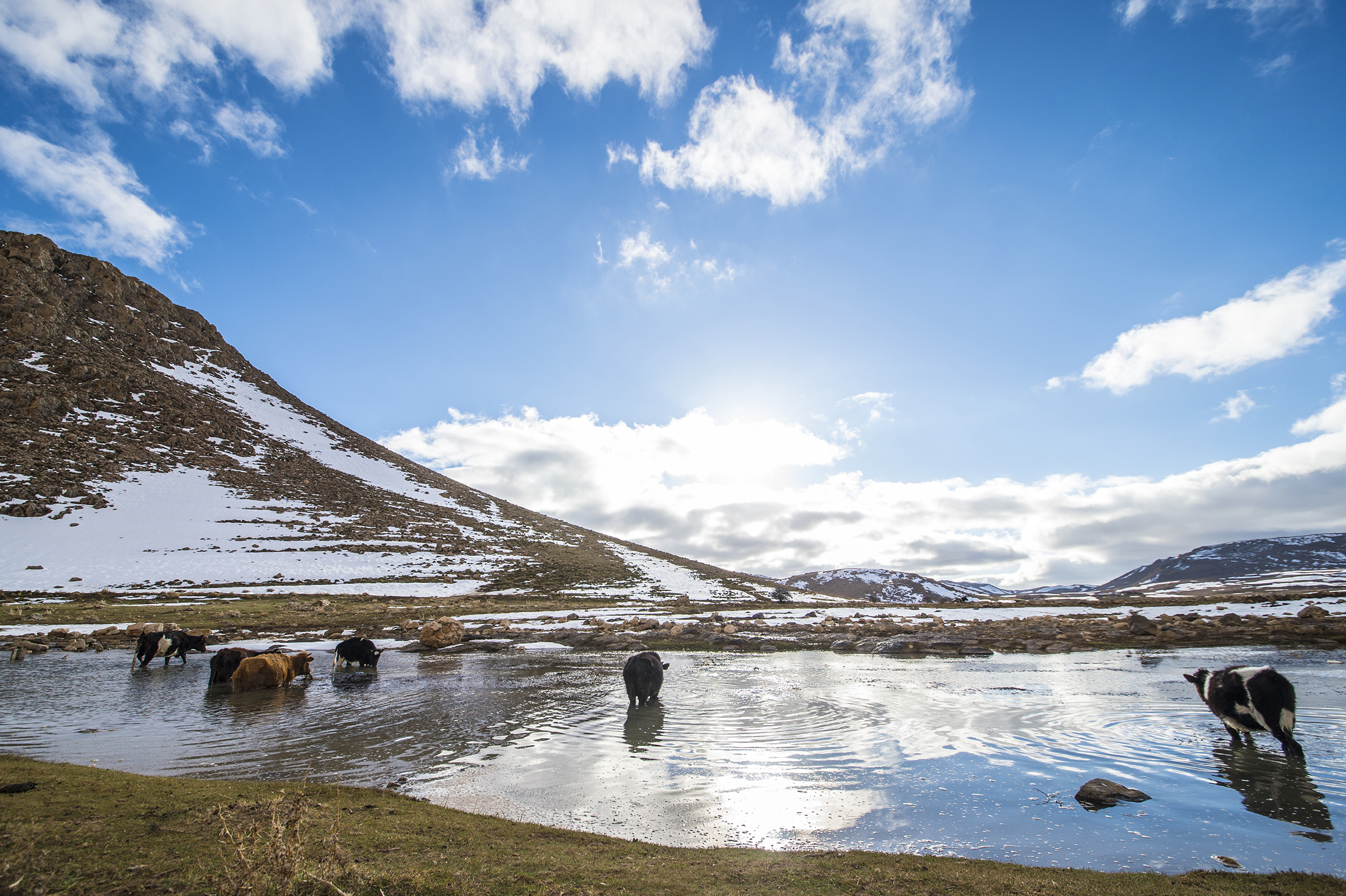 Biogas Study for Project Developers in Morocco