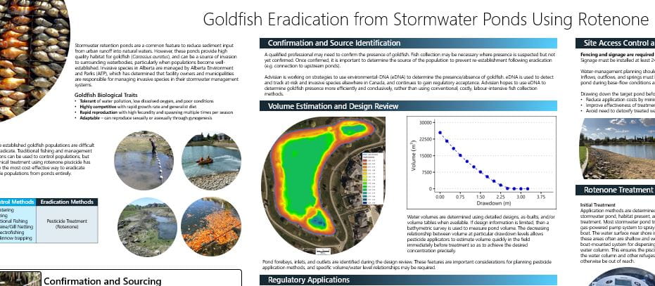 goldfish eradication information